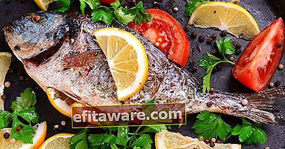 คำแนะนำ 6 ข้อสำหรับปลา Derya Lamb ใน Turkish Delight Taste