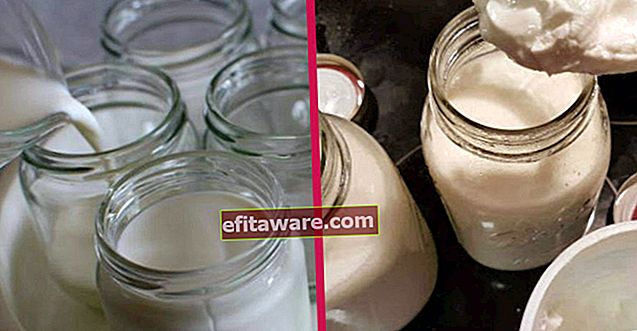 Mit allen Tricks in voller Konsistenz: Wie macht man Joghurt in einem Glas?