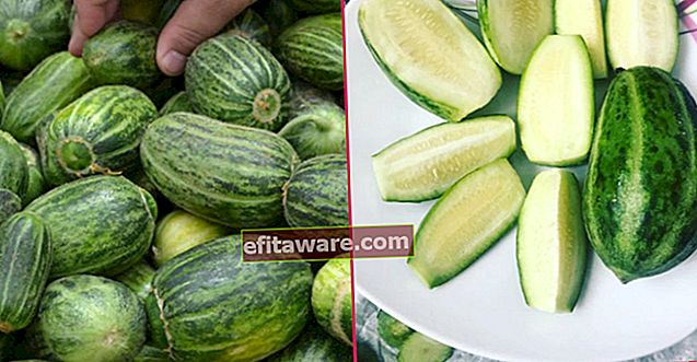 Draußen Wassermelone, innen Melone, eine Frucht von uns, die nach Gurke schmeckt: Şelengo