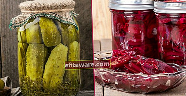 16 Resipi Pickle Berbeza Yang Semua Orang Bergembira Dengan Tiba Musim Luruh