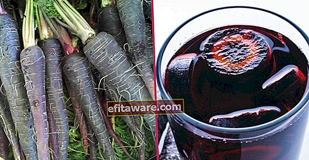 Astro nascente degli ultimi anni, sapore curativo e brevettato di Ereğli: carota nera