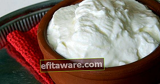 Mit den Geheimnissen einer längeren Lebensdauer: Warum wird hausgemachter Joghurt schnell sauer?