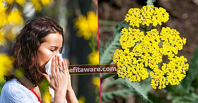 Rivolte contro l'arrivo della primavera: 8 alimenti buoni per l'allergia ai pollini