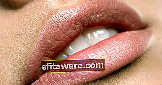 7 Lip Balm Yang Melawan Efek Negatif Musim Dingin Di Bibir Anda