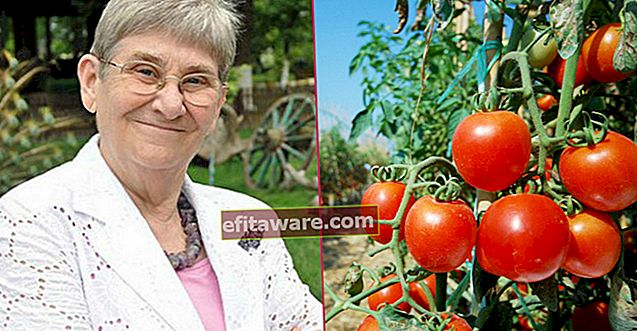 Tomatenwarnung von Canan Karatay, die aussieht, als würde sie vor Gericht enden