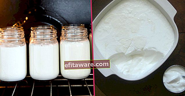 Jangan Air, Jauhkan Konsisten Penuh: Membuat Yoghurt di Oven Langkah demi Langkah