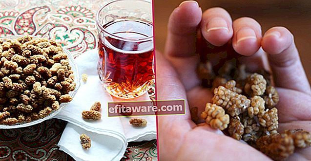 10 Alasan Anda Tidak Pernah Tahu Yang Akan Mendorong Keinginan Untuk Makan Segenggam Mulberry Kering Setiap Hari