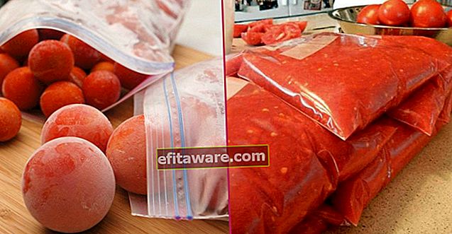 세 가지 다른 방법 사용 : 신선한 토마토를 냉동실에 쉽게 보관하는 방법?