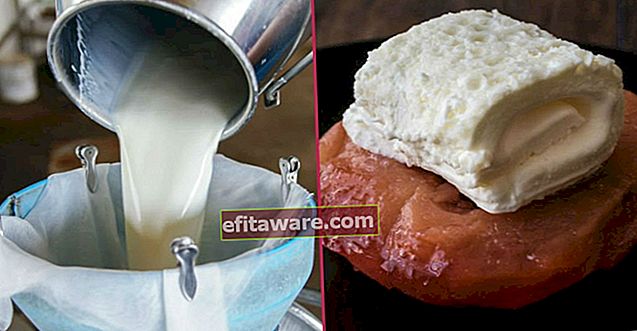 De la unt la smântână, de la iaurt la fabricarea brânzeturilor: Cum se folosește laptele crud?
