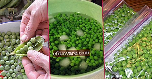 だからあなたは一年中最も新鮮なものを食べます：エンドウ豆を抽出して冷凍庫に保管する方法は？