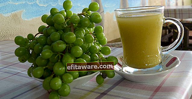 Eine Heilquelle, die nicht voll mit Alkohol ist, was für Olivenölmenschen sehr gut ist: Koruk-Wasser